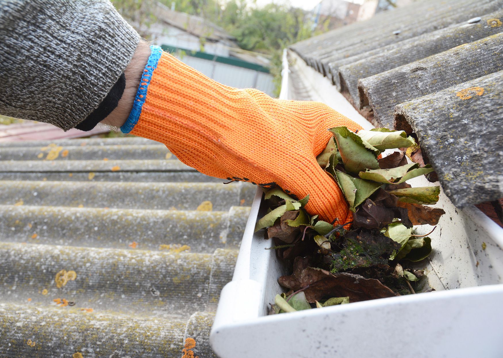 Gutter Cleaning & Brightening