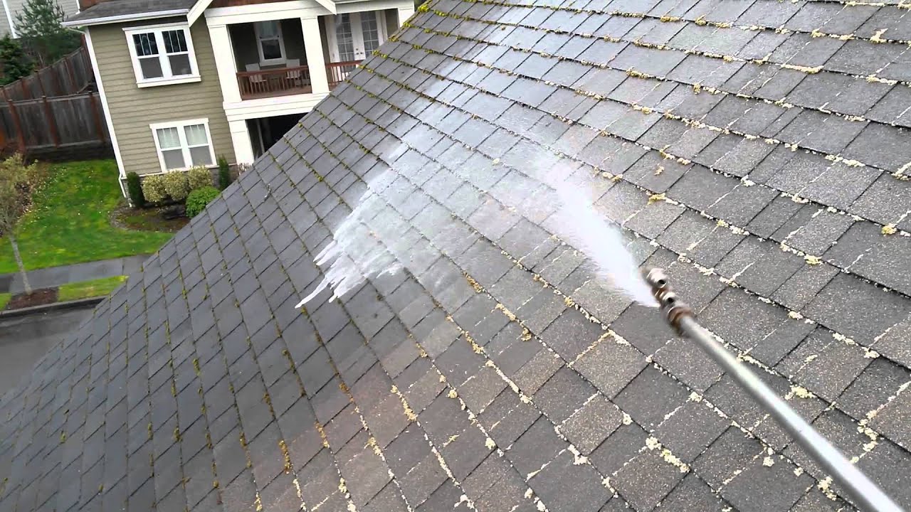 Roof Soft Washing