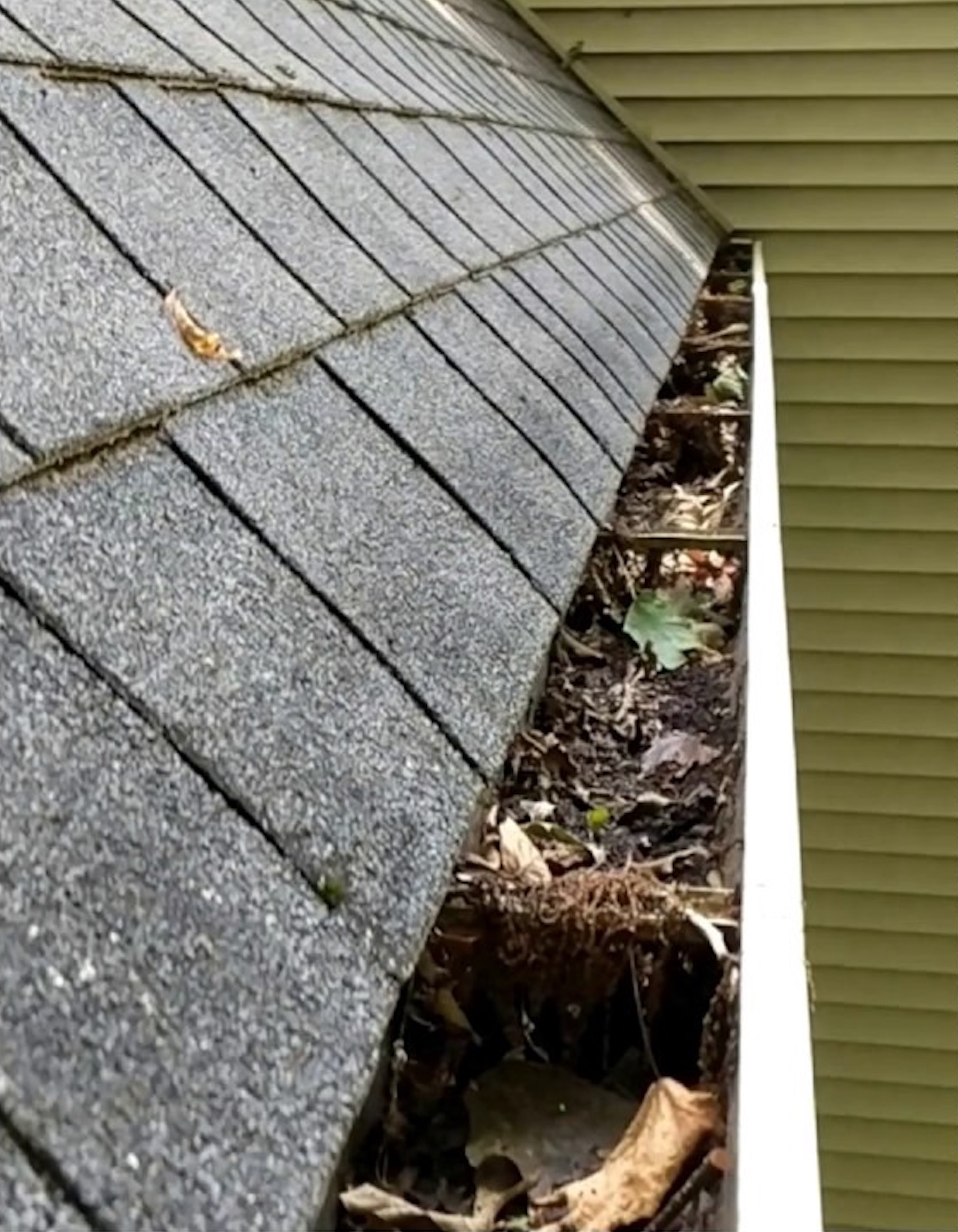 Before: Gutter clogged with debris before and after cleaning
