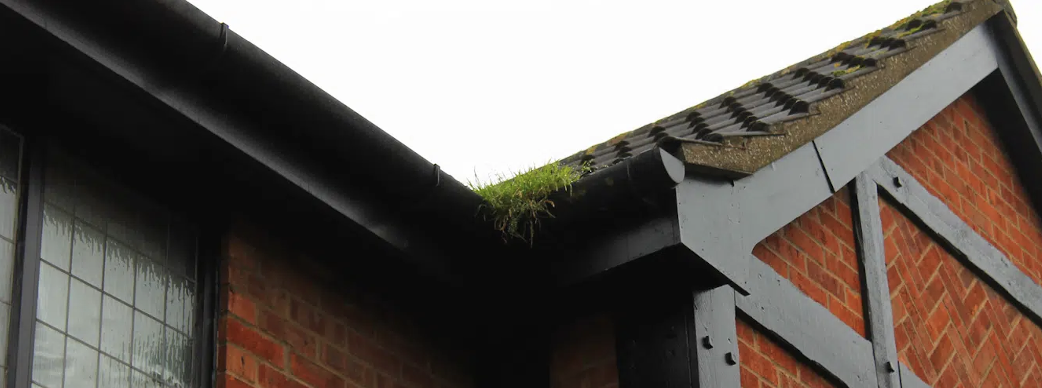 House with gutters needing cleaning